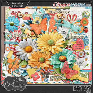 Daisy Days [Kit] by Cindy Ritter