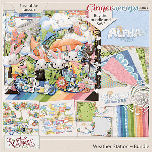 Weather Station Bundle