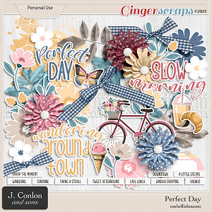 Perfect Day Embellishments by J. Conlon and Sons
