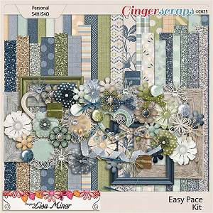 Easy Pace from Designs by Lisa Minor