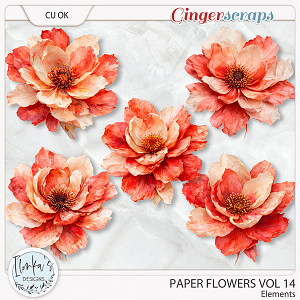 CU Paper Flowers Vol 14 by Ilonka's Designs