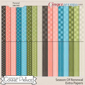 Season Of Renewal -  Extra Papers by Connie Prince