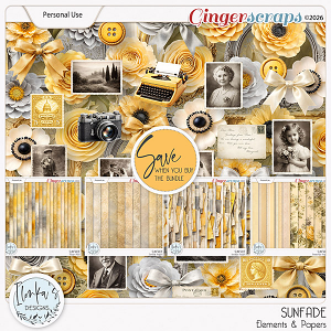 Sunfade Elements & Papers by Ilonka's Designs
