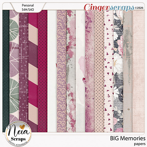 BIG Memories - Papers - by Neia Scraps
