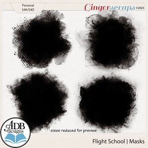 Flight School Masks