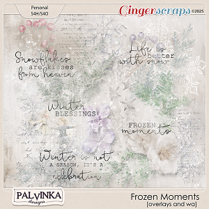 Frozen Moments Overlays and WA by Palvinka Designs