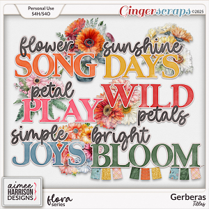 Gerberas Titles by Aimee Harrison
