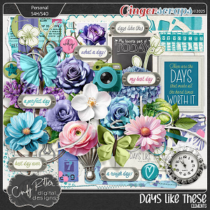 Days Like These [Elements] by Cindy Ritter 