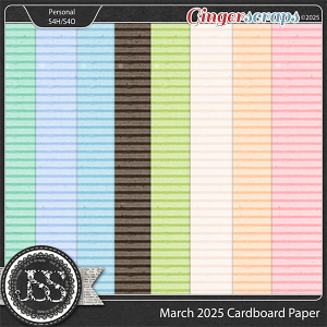 March 2025 Buffet Cardboard Papers