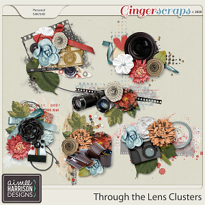 Through the Lens Clusters by Aimee Harrison