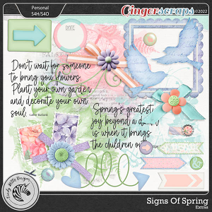 Signs of Spring [Extras] by Cindy Ritter    
