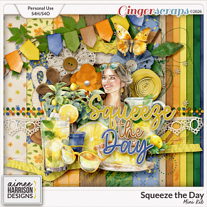 Squeeze the Day Mini Kit by Aimee Harrison