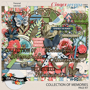 Collection of Memories - Page Kit by Lisa Rosa Designs