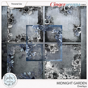 Midnight Garden Overlays by Ilonka's Designs