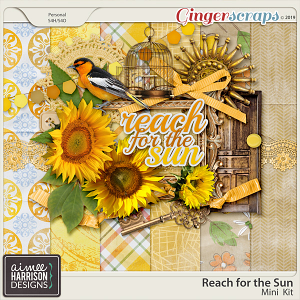 Reach for the Sun Mini Kit by Aimee Harrison