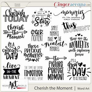 Cherish the Moment Word Art