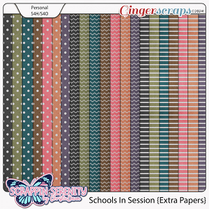 Schools In Session - Extra Papers