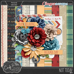 Not Today [Mini Kit] by Cindy Ritter