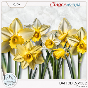 CU Daffodils Vol 2 by Ilonka's Designs