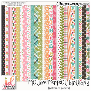 Picture Perfect Birthday {Patterned Papers}