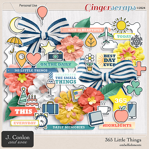 365 Little Things Embellishments by J. Conlon and Sons