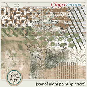 Star Of Night Paint Splatters by Chere Kaye Designs 