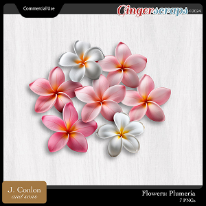 Flowers: Plumeria CU Embellishments by J. Conlon and Sons