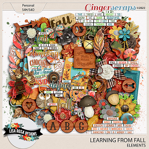 Learning from Fall - Elements by Lisa Rosa Designs