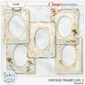 CU Vintage Frames Vol 3 by Ilonka's Designs