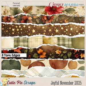 Joyful November 2025 Torn Edges