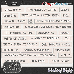 Wonder of Winter [Word Strips] by Cindy Ritter