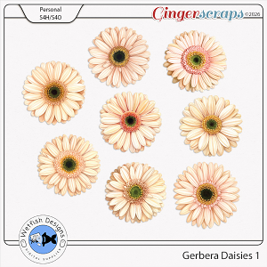 Gerbera Daisies 1 by Wetfish Designs