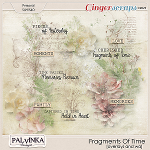 Fragment Of time Overlays and WA by Palvinka Designs
