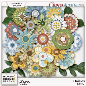 Daisies Blooms by Aimee Harrison Daisies Blooms by Aimee Harrison