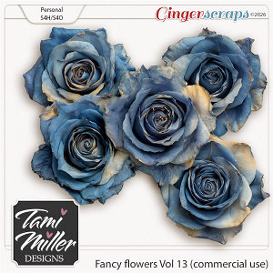Fancy Flowers Vol 13 by Tami Miller Designs Fancy Flowers Vol 13 by Tami Miller Designs