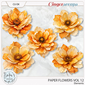 CU Paper Flowers Vol 12 by Ilonka's Designs  