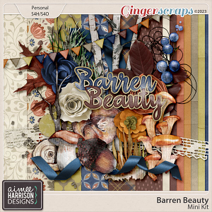 Barren Beauty Mini Kit by Aimee Harrison