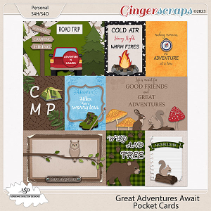 Great Adventures Await Pocket Cards- By Adrienne Skelton Design 