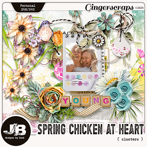 Spring Chicken At Heart Clusters by JB Studio