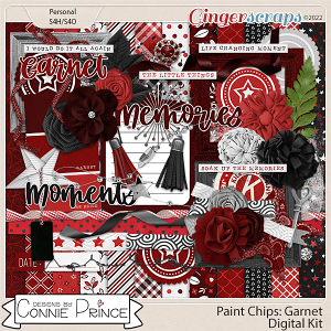 Paint Chips Garnet - Kit by Connie Prince