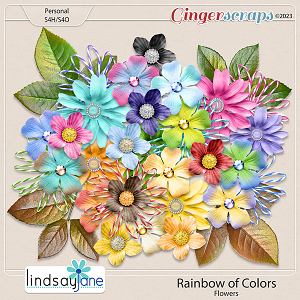 Rainbow of Colors Flowers by Lindsay Jane