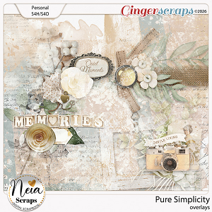 Pure Simplicity - Overlays - by Neia Scraps
