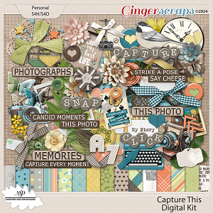 Capture This kit by Adrienne Skelton Designs 