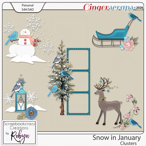 Snow in January Clusters by Scrapbookcrazy Creations