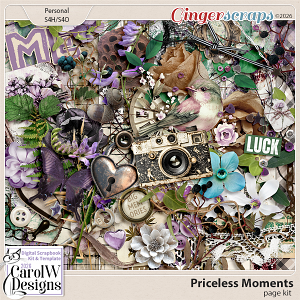 Priceless Moments Page Kit