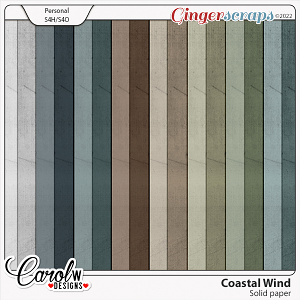 Coastal Wind-Solid paper