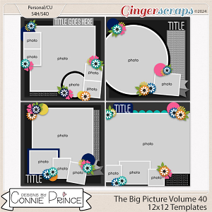 The Big Picture Volume 40 - 12x12 Temps (CU Ok) by Connie Prince