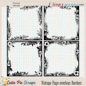 Vintage Page overlays Borders-14