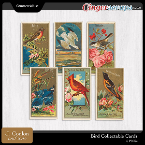 Bird Collectable Cards CU by J. Conlon and Sons