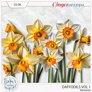 CU Daffodils Vol 1 by Ilonka's Designs